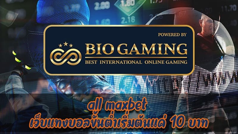 all maxbet